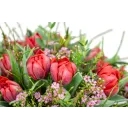 Bouquet of premium tulips